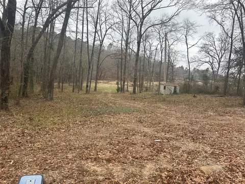 7 Sandy Lk, Scroggins, TX 75480