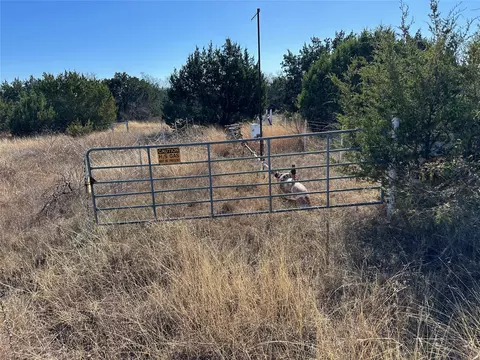 10 Fm 585, Bangs, TX 76823 photo 23
