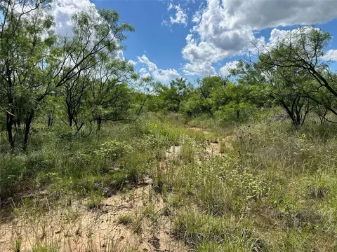 10 Fm 585, Bangs, TX 76823 photo 14
