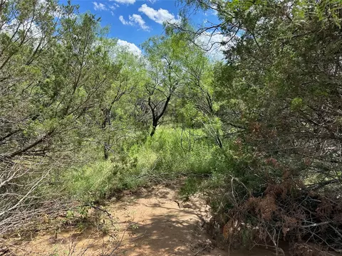10 Fm 585, Bangs, TX 76823 photo 10