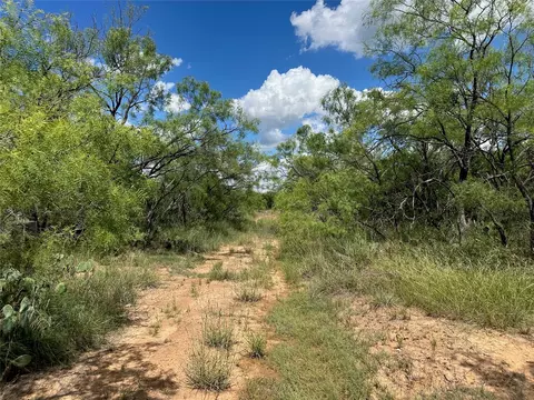 10 Fm 585, Bangs, TX 76823 photo 12