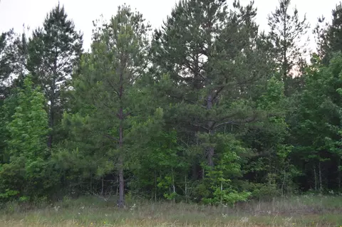 APT 1 Ryans Way, Minden, LA 71055