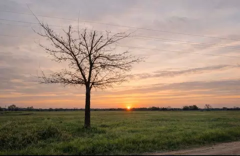 tbd County Road 14420, Pattonville, TX 75468