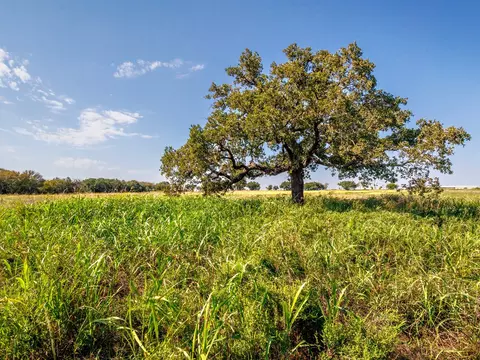 217 County Road 468, De Leon, TX 76444
