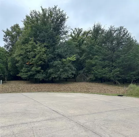 2099 Parkview Dr, Wills Point, TX 75169