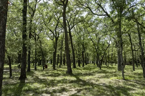 lot71 Anchor, Quinlan, TX 75474