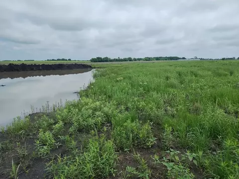 4225 County Road 4225, Cooper, TX 75432