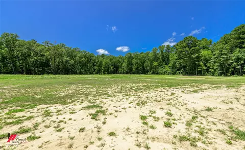 790 Chalybeate Springs Rd, Plain Dealing, LA 71064 photo 4