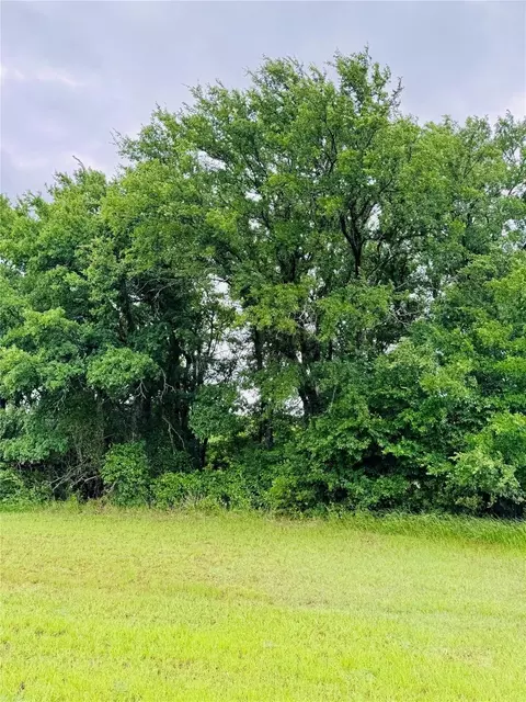 24103 Stonewood Dr, Whitney, TX 76692