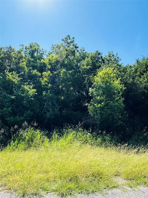 1277 Paint Brush Ct, Whitney, TX 76692