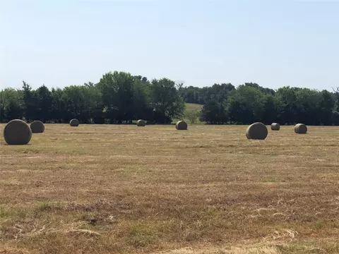 3739 W Fm 515, Como, TX 75431 photo 15
