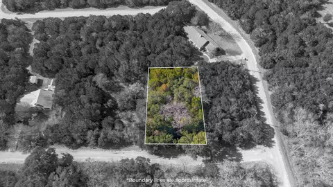 25083 Woodhaven Dr, Whitney, TX 76692
