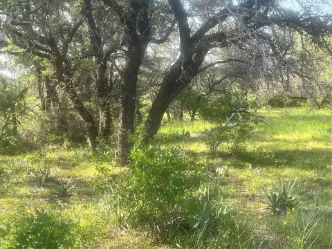 Other - 149 Comanche Hls, Comanche, TX 76442 photo 12 of 14