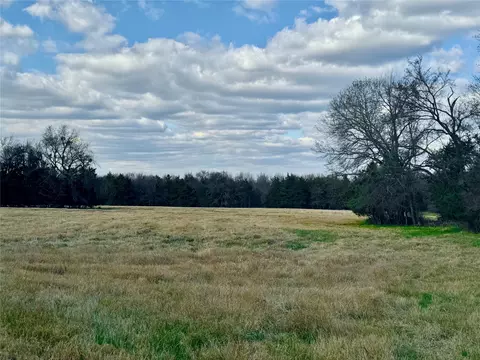 29 Acres County Road 2400, Pickton, TX 75471