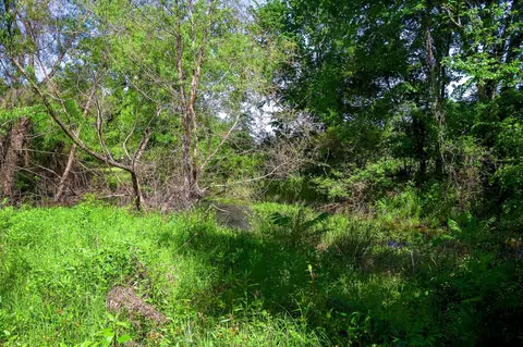 tbd Fm 859, Canton, TX 75103 photo 25