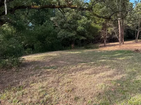tbd Fm 859, Canton, TX 75103 photo 4