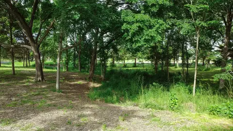 tbd Fm 859, Canton, TX 75103 photo 11