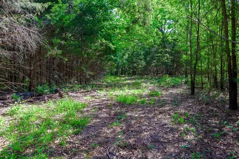 tbd Fm 859, Canton, TX 75103 photo 12