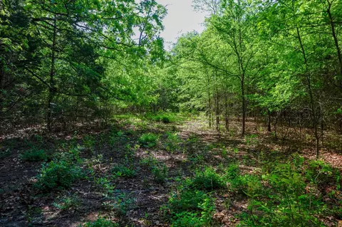 tbd Fm 859, Canton, TX 75103 photo 13