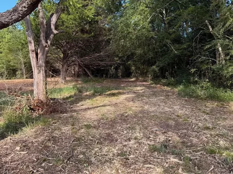 tbd Fm 859, Canton, TX 75103 photo 21