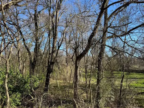 0 Maple, Gun Barrel City, TX 75156