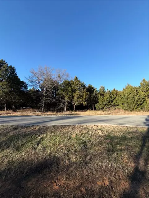 lot3 Forest Hills Dr, Gordonville, TX 76245
