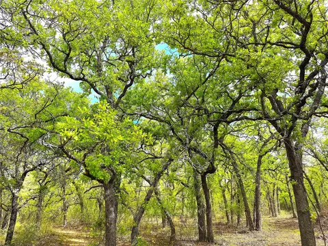 tbd Turpin Lake Rd, Poolville, TX 76487