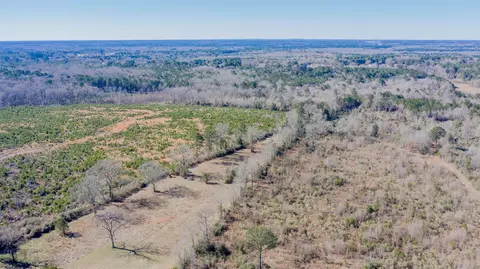 View/Area - 862 Methodist Camp Rd, Minden, LA 71055 photo 4 of 6