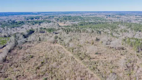 Other - 862 Methodist Camp Rd, Minden, LA 71055 photo 8 of 10