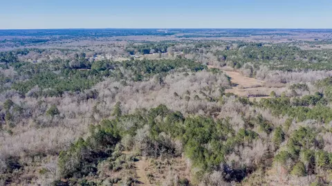 Other - 862 Methodist Camp Rd, Minden, LA 71055 photo 9 of 10