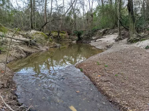 6155 Farm Road 3019, Winnsboro, TX 75494