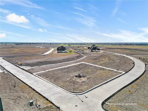 101 Sunflower St, Lorena, TX 76655 photo 3
