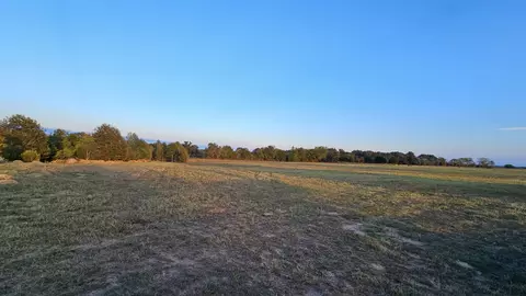 2162 County Road 174 E, Overton, TX 75684