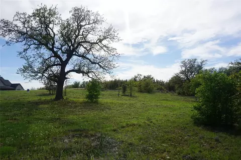 2992 Shooting Star Ct, Graford, TX 76449