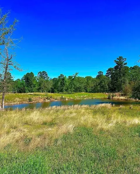 868 County Road 2920, Alba, TX 75410