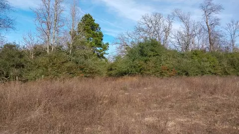 00 Fm 1511, Buffalo, TX 75831
