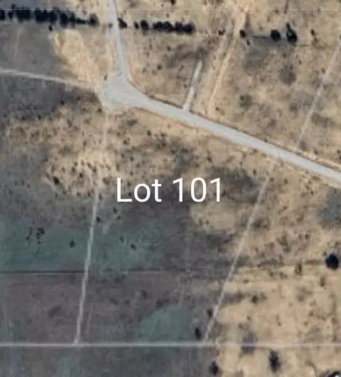 lot101 New Hope Rd, Palo Pinto, TX 76484