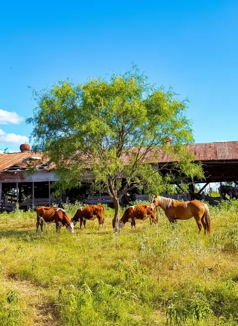 101 County Road 101, Marlin, TX 76661