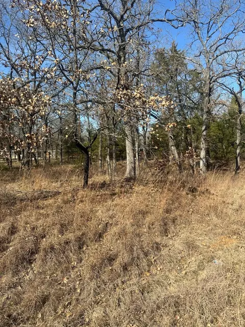 155 Spearman St, Mabank, TX 75156 photo 3