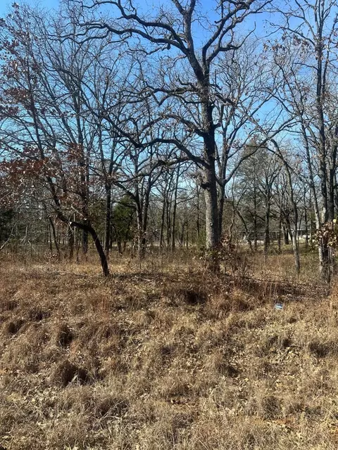 155 Spearman St, Mabank, TX 75156 photo 4