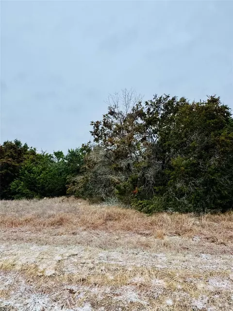 11101 Juniper Dr, Whitney, TX 76692