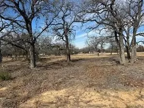 tbd Cr 2030 #LOT 7, Glen Rose, TX 76043