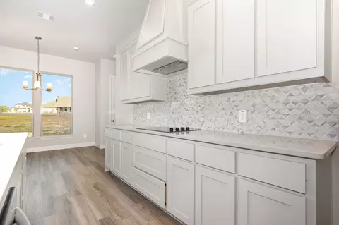 Kitchen - 1509 Lynx Loop, Forney, TX 75126 photo 3 of 3