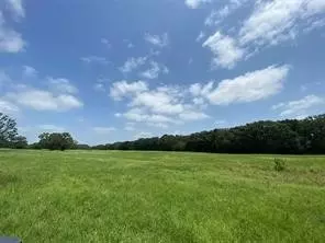 32 Acres County Road 2425, Como, TX 75431 photo 7