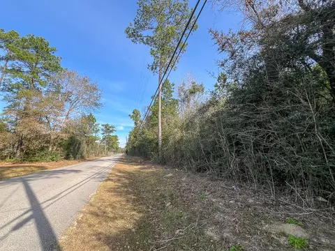 0 Fresenius Rd, Silsbee, TX 77656 photo 3