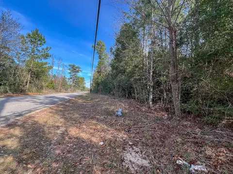 0 Fresenius Rd, Silsbee, TX 77656 photo 4