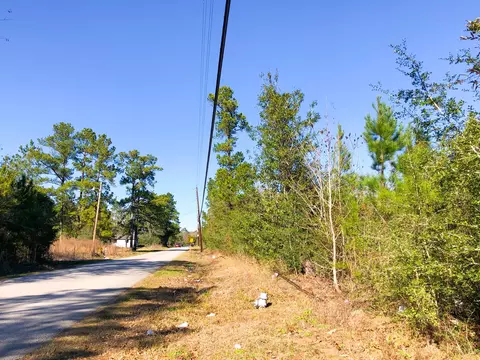 0 Fresenius Rd, Silsbee, TX 77656 photo 7