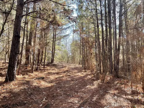 17584 Fm 1252, Winona, TX 75792