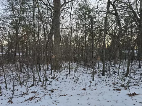 lot753 Doe Run Rd, Gun Barrel City, TX 75156
