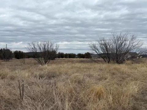905 Blue Jay Ln, Graford, TX 76449